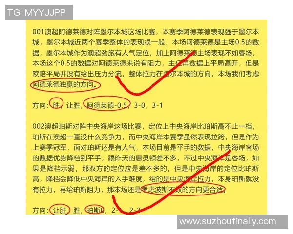 墨尔本城与悉尼的精彩对决结果揭晓分析与赛后点评