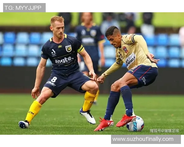 惠灵顿凤凰对阵中央海岸水手2019赛季精彩直播回顾与分析