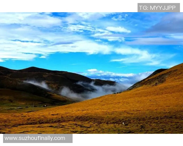 景菡一的成长之路与人生哲学探讨:从青涩到成熟的心灵旅程